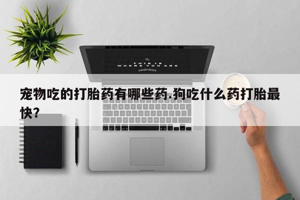 打胎药使用宠物吃的打胎药有哪些药.狗吃什么药打胎最快？
