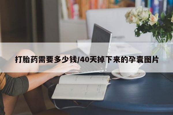 打胎药使用打胎药需要多少钱/40天掉下来的孕囊图片